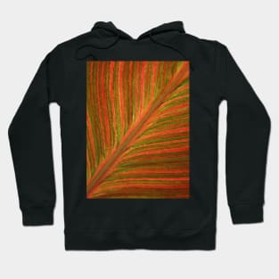 Natural Abstracts - Leaf Pattern Hoodie